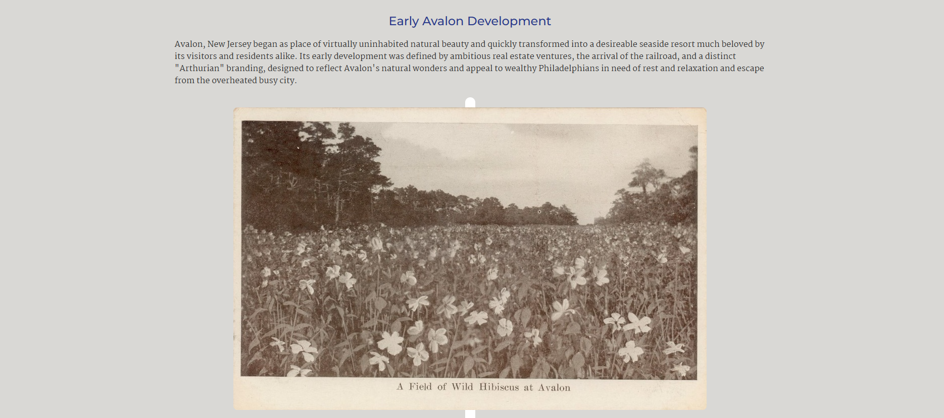 Early Avalon Timeline