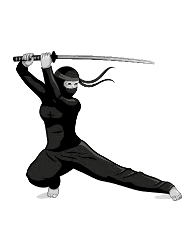 HEOR_Ninja.png