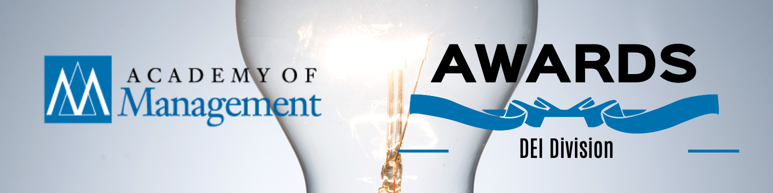 AOM DEI Division Awards