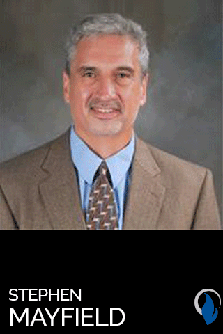 Stephen Mayfield