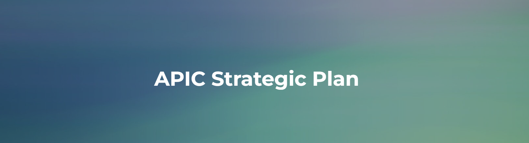 APIC Strategic Plan 