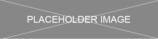 somechapter logo. This will take you to the homepage