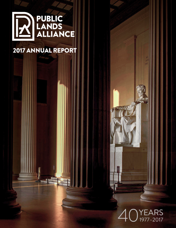 2017 annual report