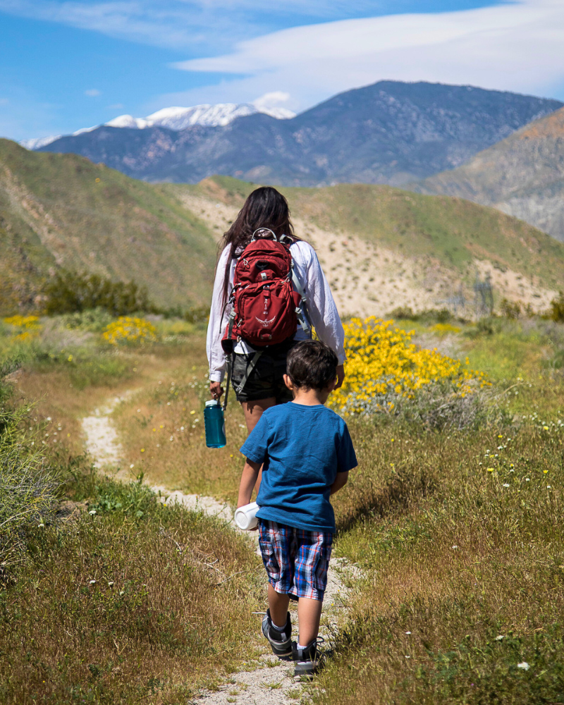 Mom and young son hiking through yellow wildflowers