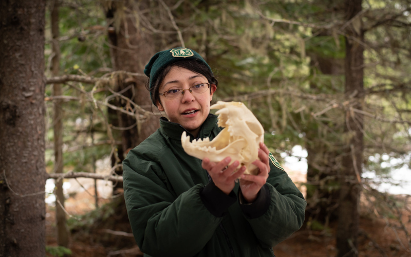 A young woman in a forest service uniform holds up an animal skull during a presention in the forest