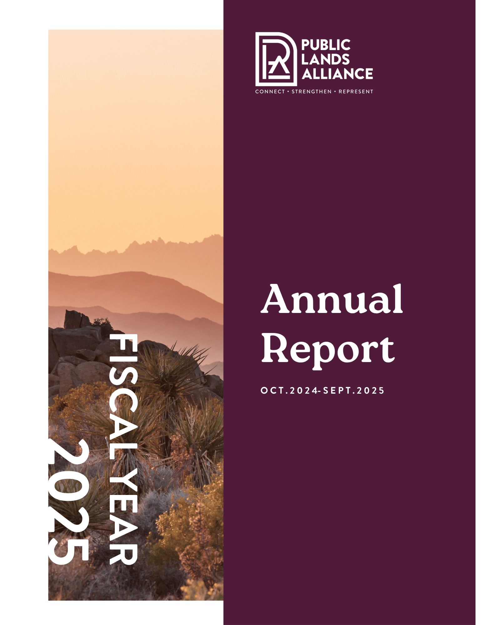2025 Annual Report