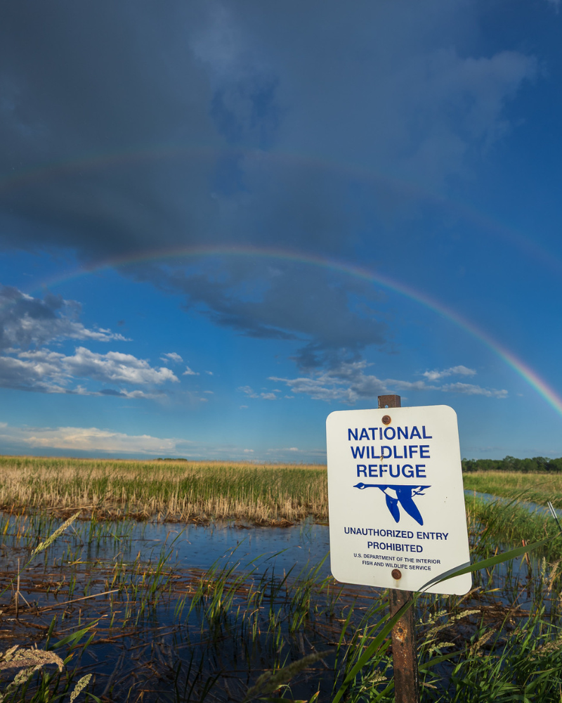 rainbow over a swampy area with a sign for the National Wildlife Refuge System