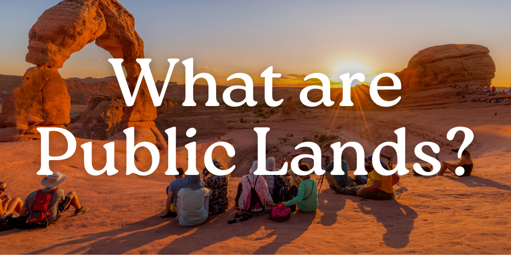 What Are Public Lands?