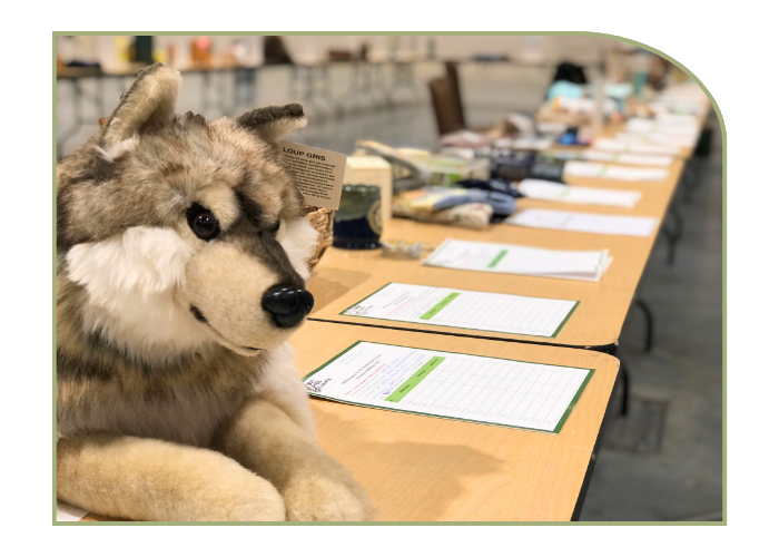 A large wolf stuffed animal sits at the head of the silent auction table. The table is full of products in the background