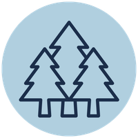 A blue outline of pine trees in a light blue circle