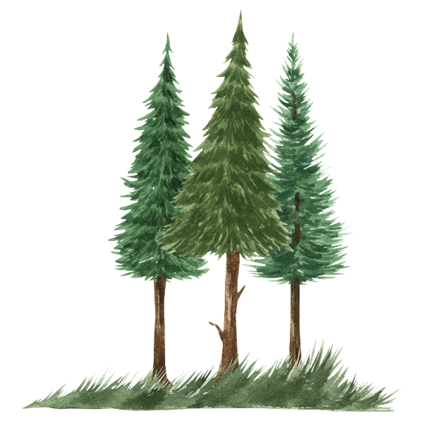 Set of three watercolor pine trees in various shades of green