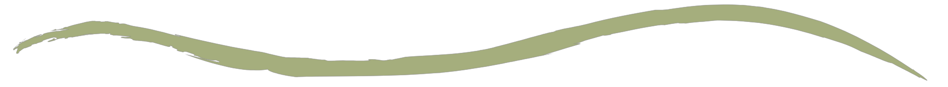 long light green squiggle