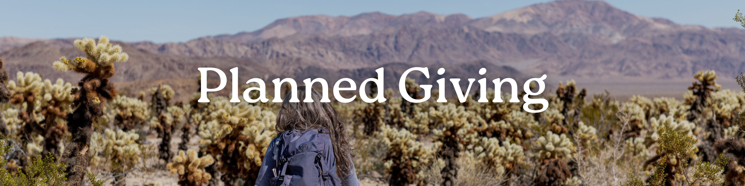 woman walking in the desert