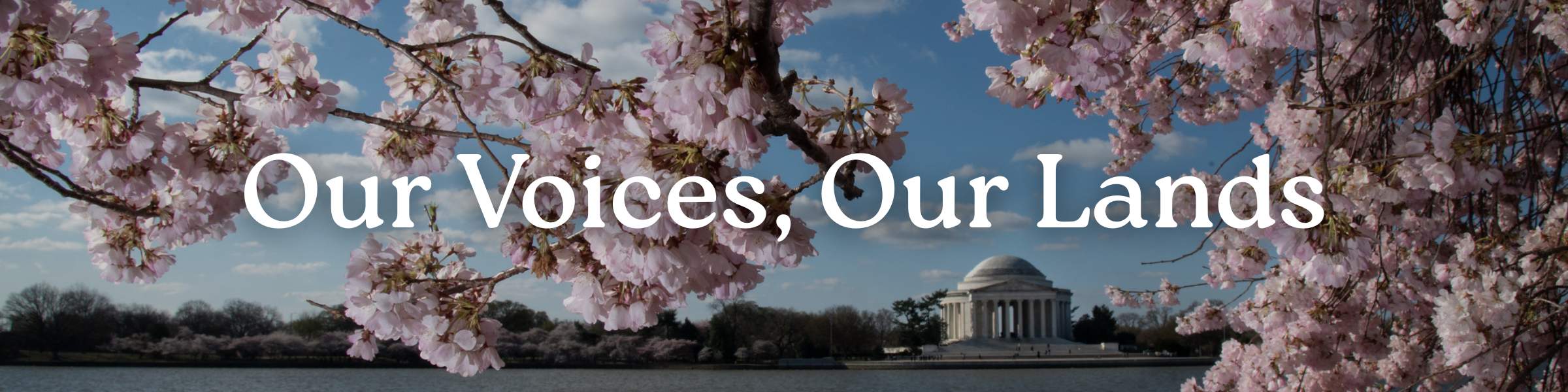 Cherry blossoms overlooking government building