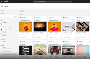 Searching and Filgering
