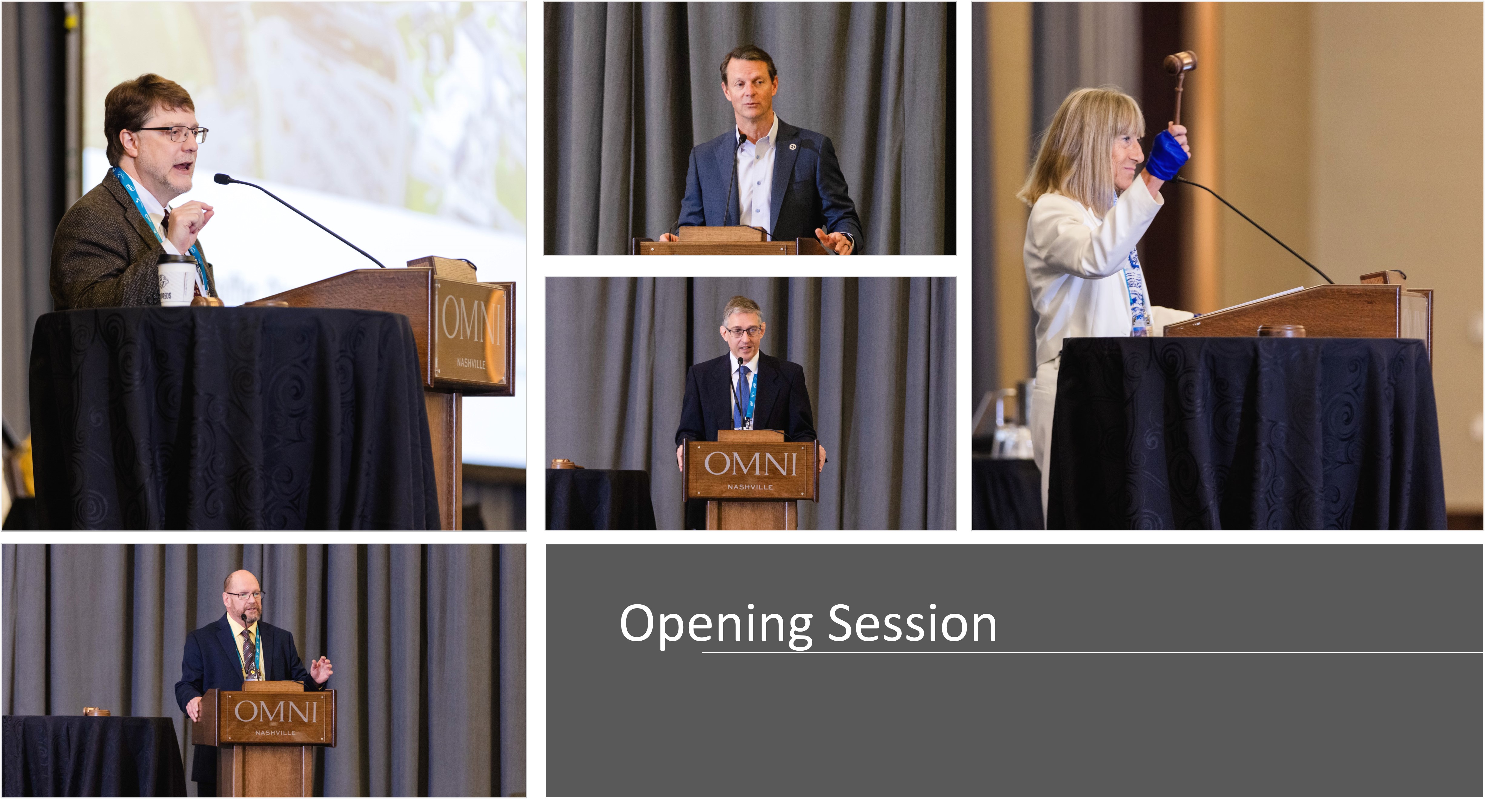 Opening session included opening remarks from Tennessee Economic and Community Development Commissioner Stuart McWhorter and ORNL Director Stephen Streiffer. The conference was opened by Conference Chair Fulvia Pilat (ORNL) followed by introductions by Scientific Program Committee Chair Wolfram Fischer (BNL) and Local Organizing Committee Chair Robert Saethre (ORNL).