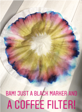 Image Credit: Zelijka Popovic