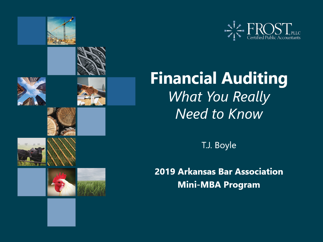 Mini-MBA_Financial_Auditing_What_you_Really_Need_to_Know.png