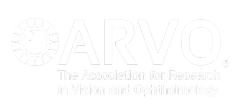 ARVO logo