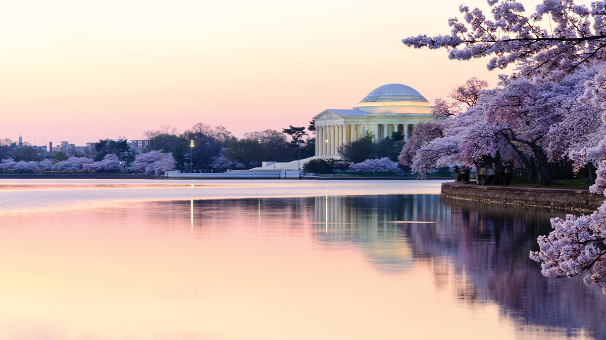 A view of the Thomas Jefferson Memorial during cherry blossom season from across the Tidal Basin.