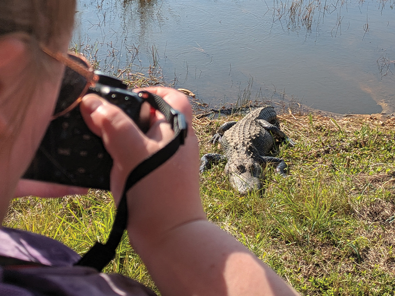 Jennifer photographing an alligator.
