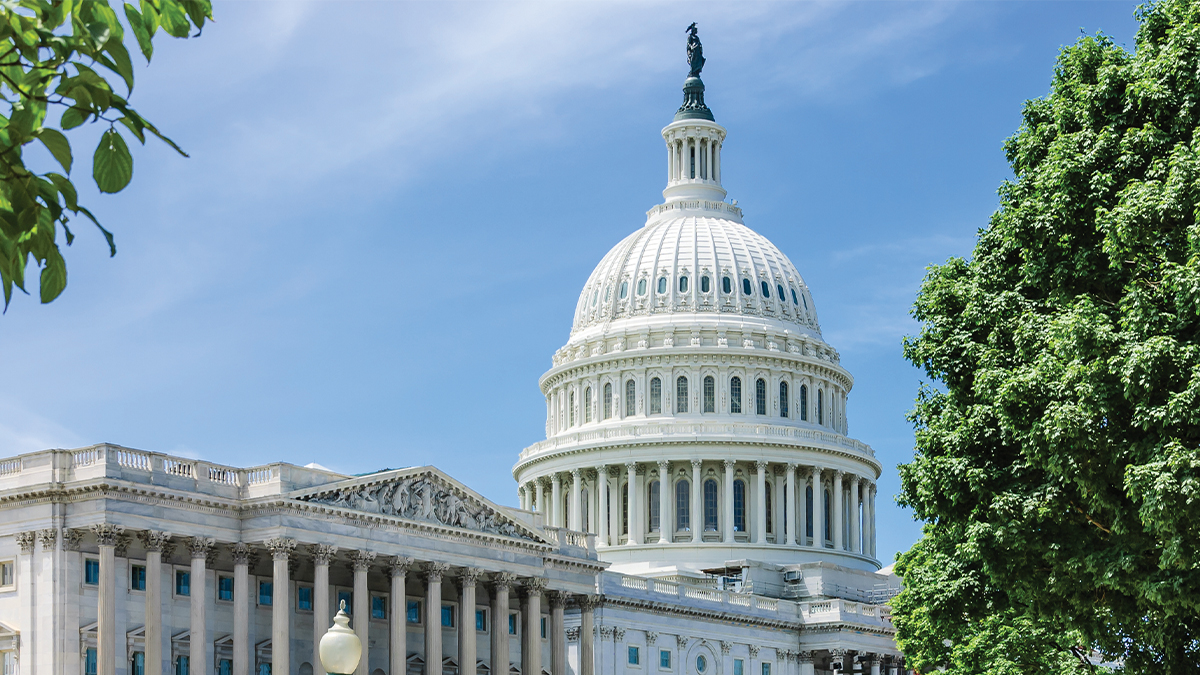 The United States Capitol building dome set against a blue sky, framed by green trees.