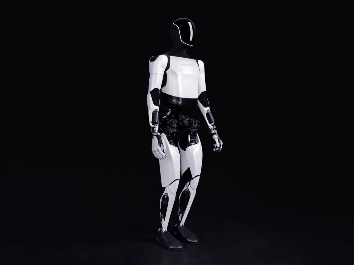Tesla Bot 