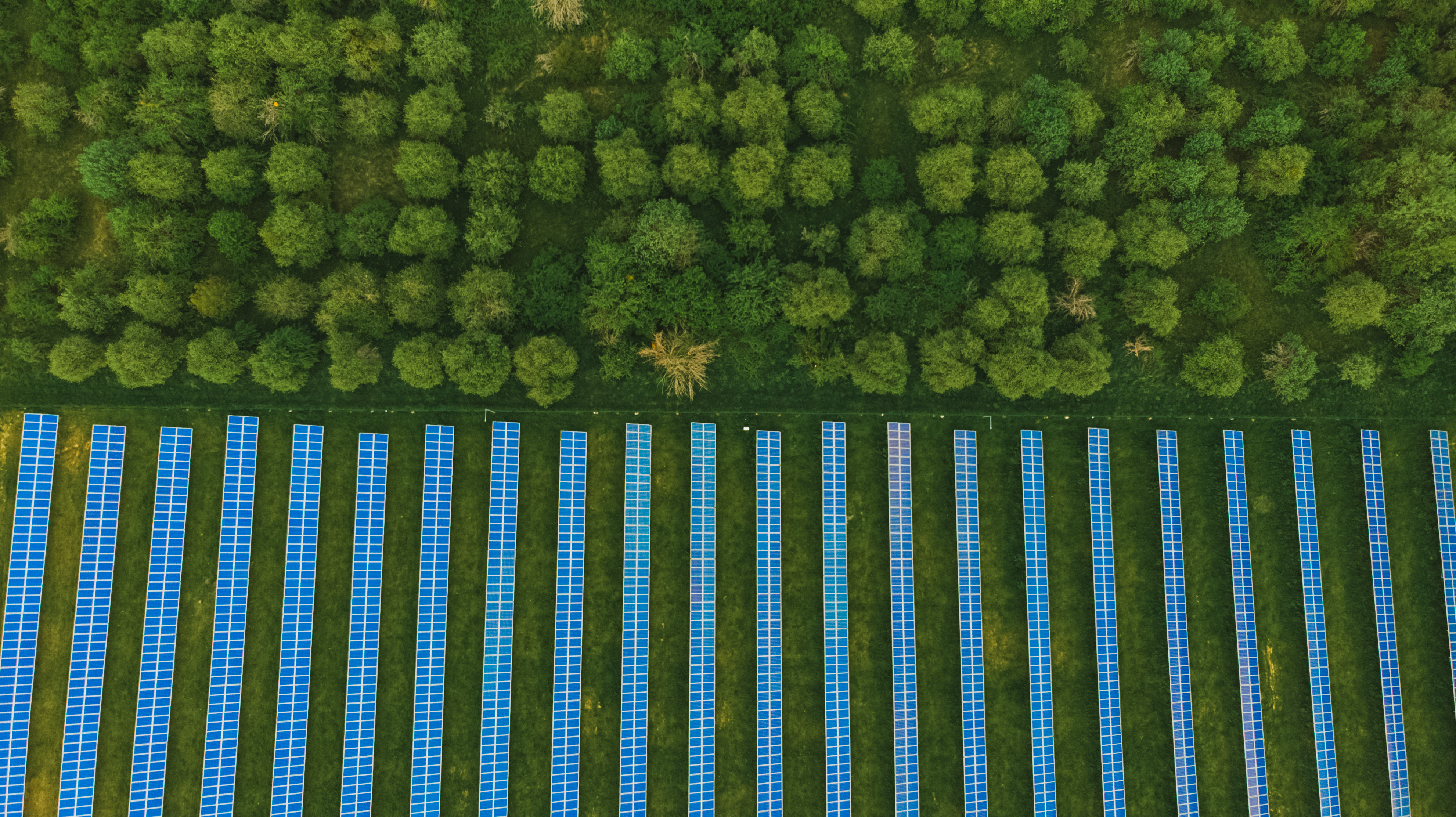 Aerial View of Solar Farm AdobeStock_357936717.jpeg