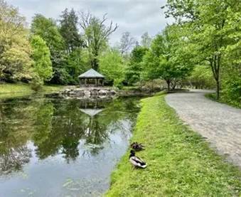 A pond with a gazebo and treesAI-generated content may be incorrect.