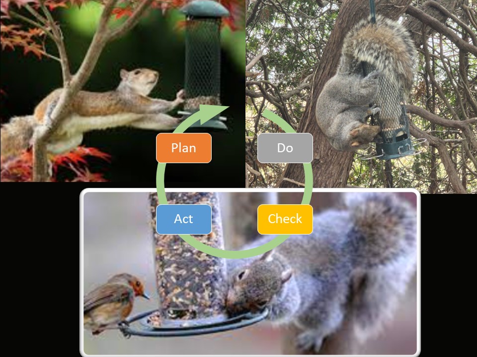 Ingenuity Squirrel PDCA