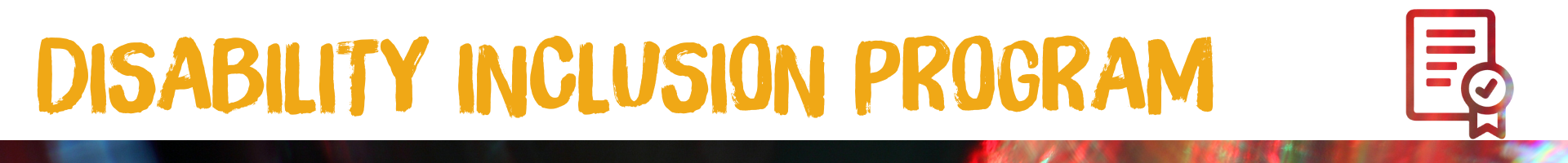 Disability Inclusion Program