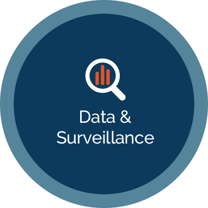 Circular image with Data and Surveillance in middle