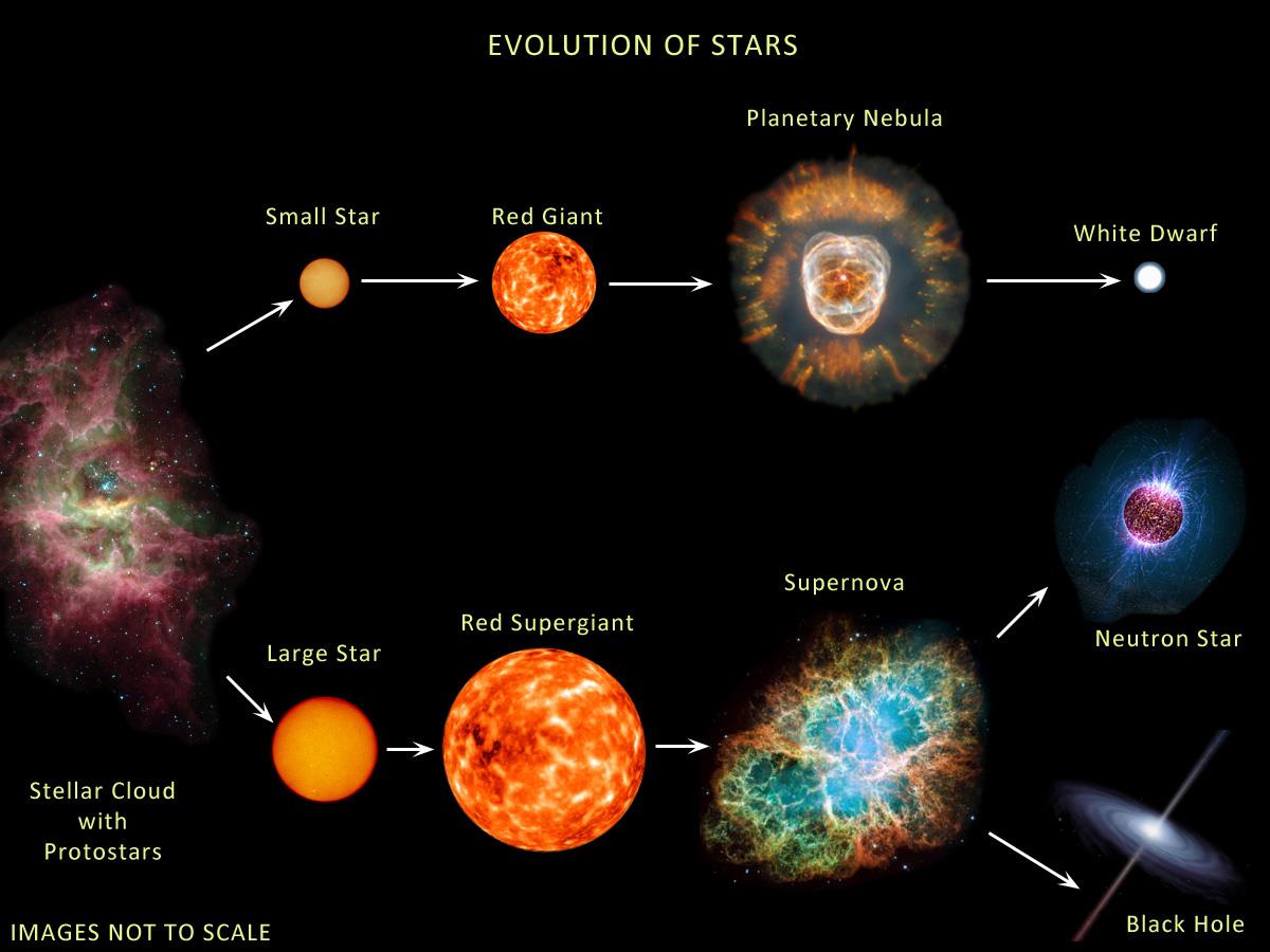 This image shows how different kind of stars evolves depending upon how heavy they are.