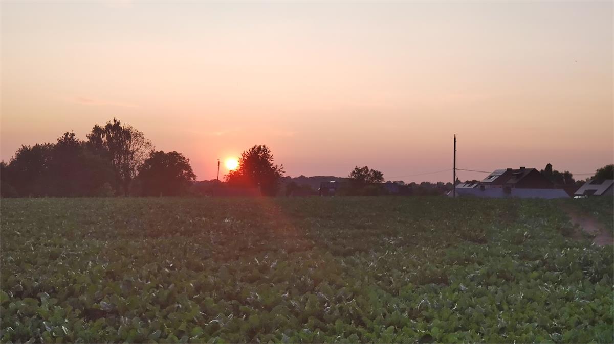 A minute before Sunset in Belgium