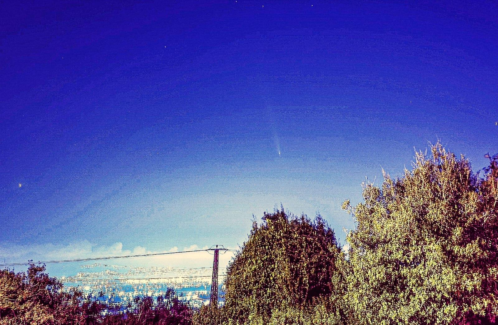This image is after cropping and processing with Lightroom Lite and Snapseed apps