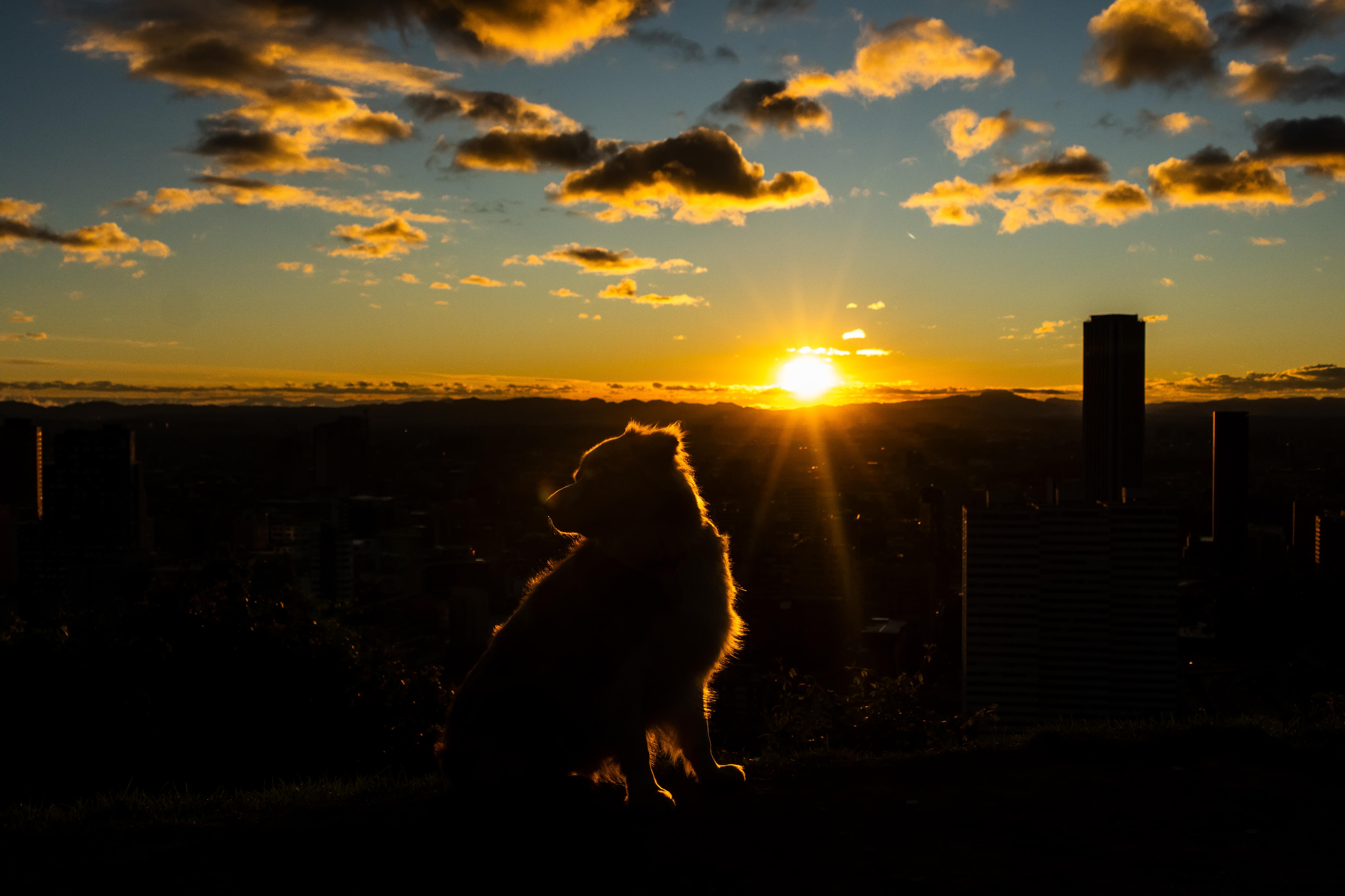 Sunrise/Sunset from Bogota, Columbia taken by Leonardo Villa