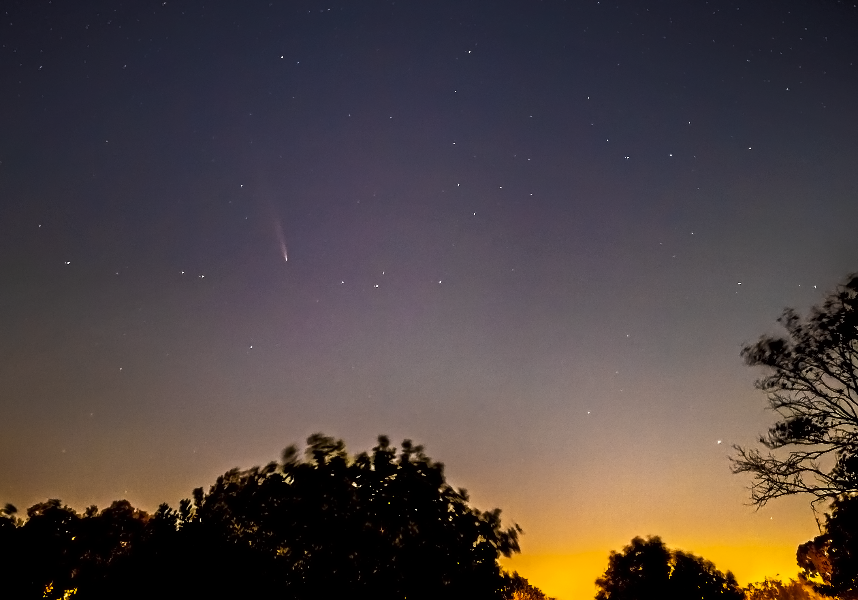 Cropped and Processed Image