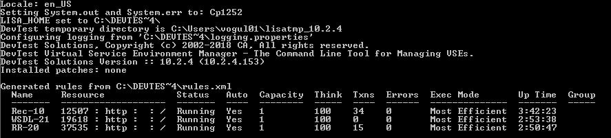 VSEManager output