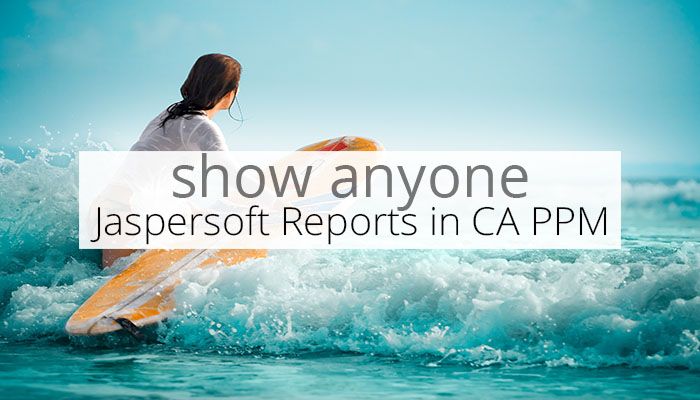 linkedin-show-anyone-jaspersoft-reports-in-ca-ppm.jpg