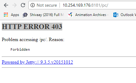 error shown while accessing PM url