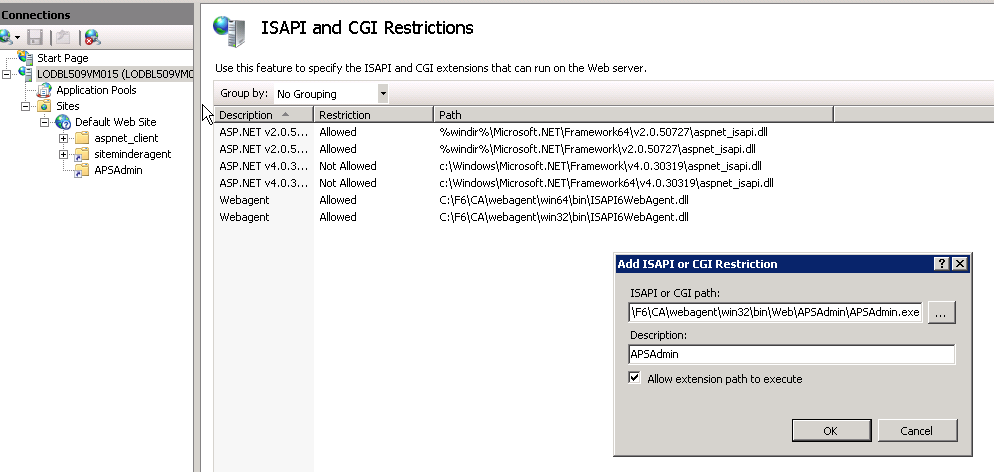 ISAPI CGI Restrictions.png