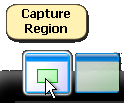 SCU Capture Region