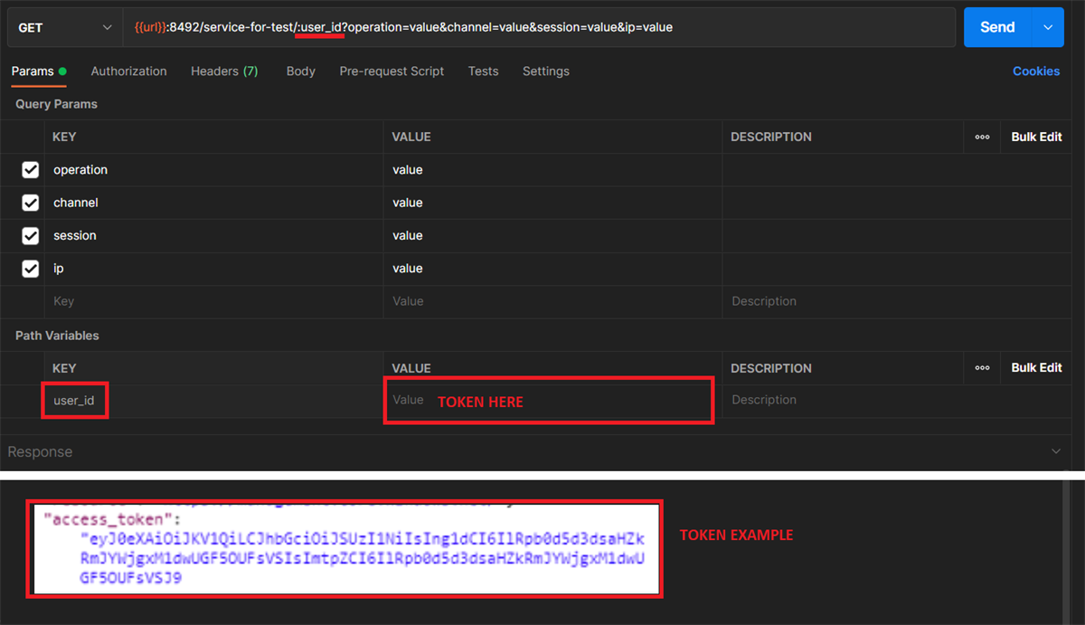 Traditional virtualization with variable endpoint REST Service