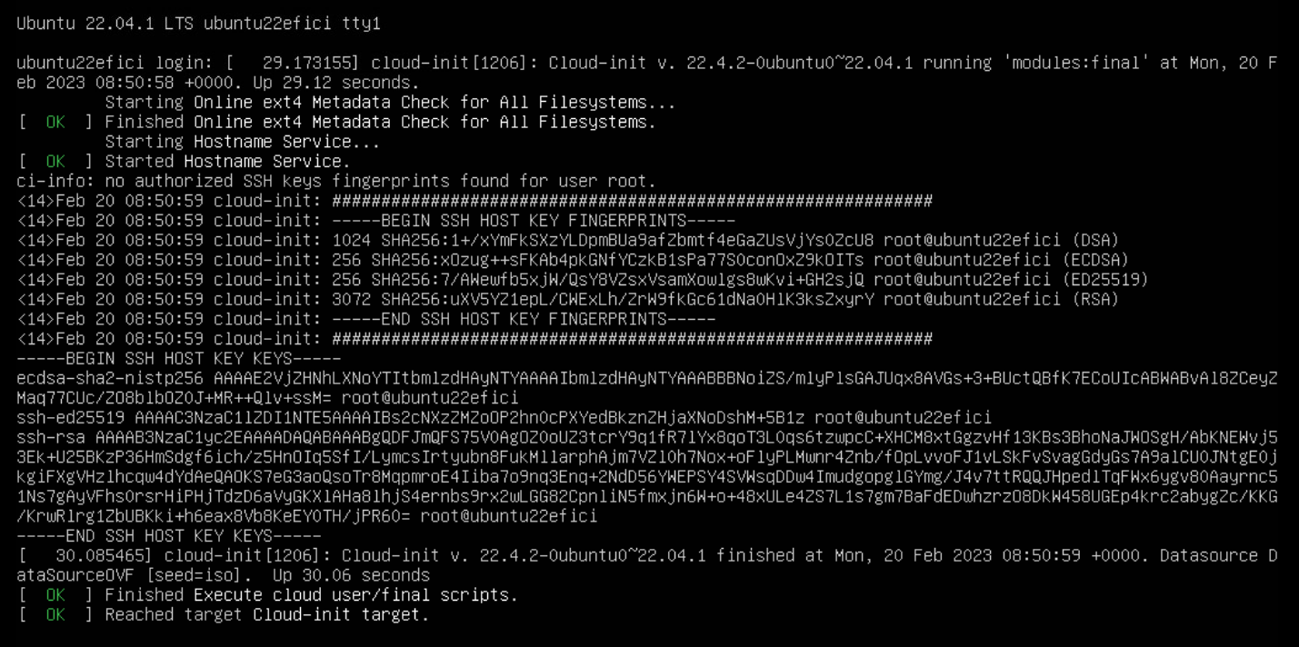 successful_cloud-init.png