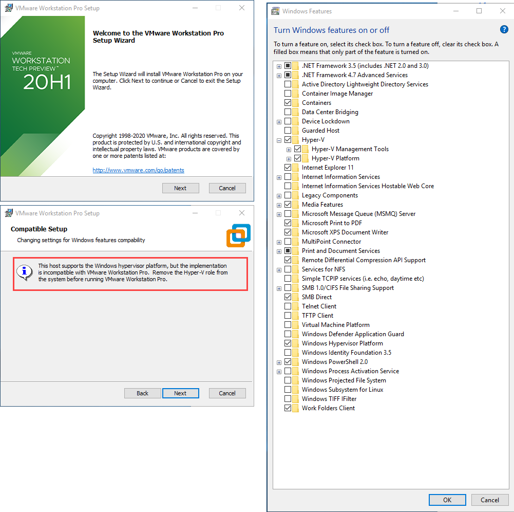 Preview 20H1 This host supports the windows hypervisor platform but