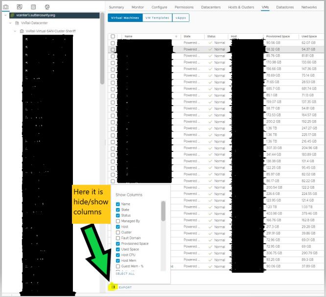 vSphere version 7.0 show/hide columns