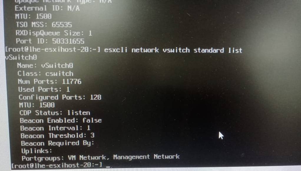 esxcli network vswitch standard list