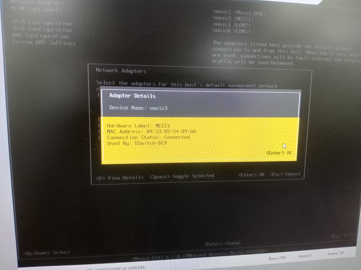 Network Adapters and VLAN (optional) greyed out in DCUI ESXi