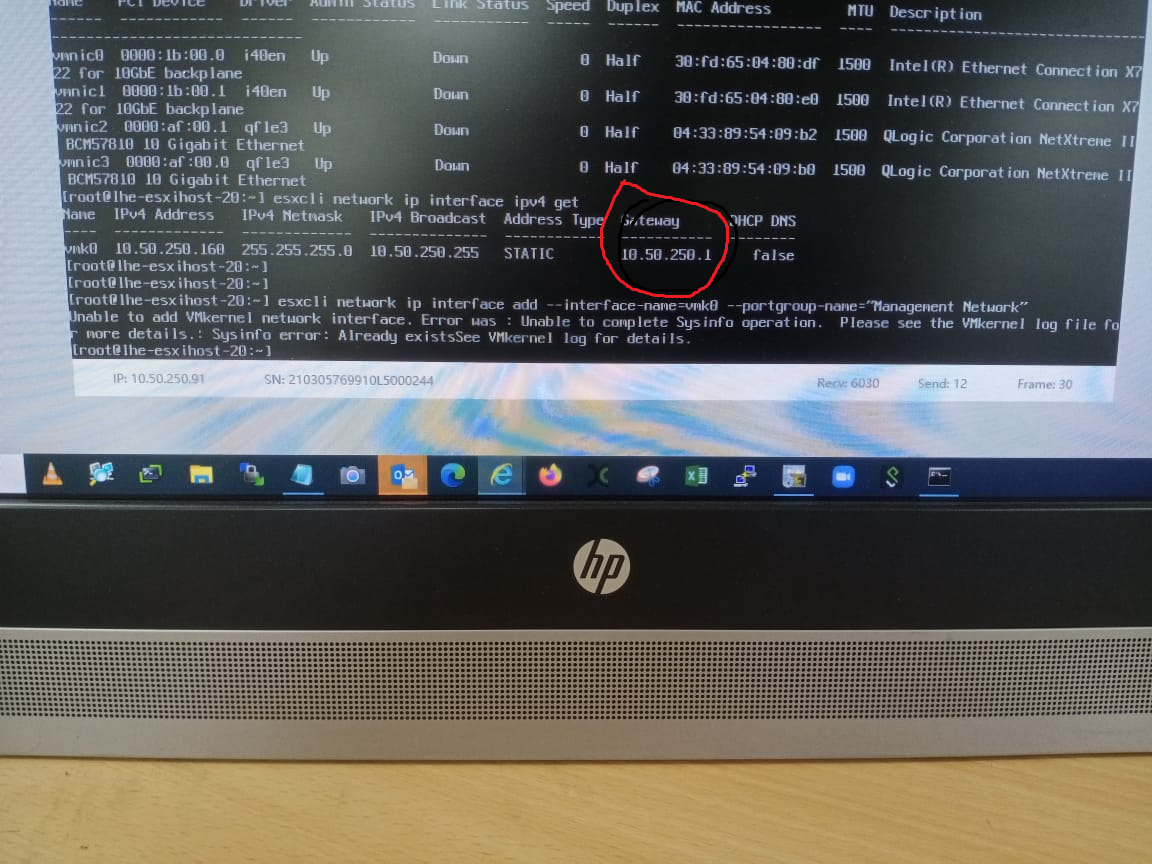 Network Adapters and VLAN (optional) greyed out in DCUI ESXi