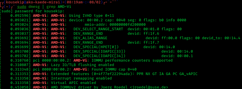 AMD-Vi_boot_log_screenshot.png